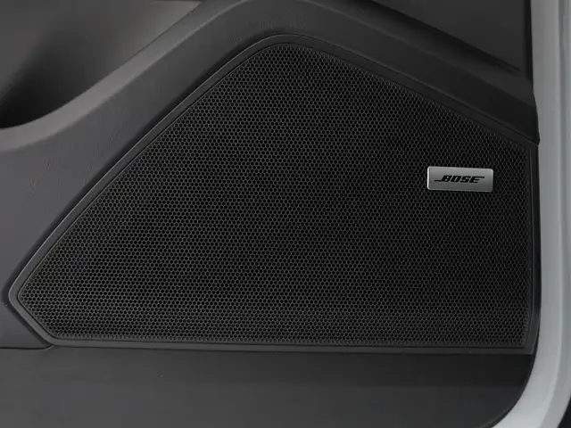 Porsche Cayenne view 12