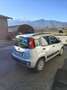 Fiat Panda 1.3 mjt 16v Classic 75cv - thumbnail 3