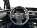Lexus UX 250h NIEUW ! Style & Carplay/Androi Weiß - thumbnail 12