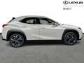 Lexus UX 250h NIEUW ! Style & Carplay/Androi Bianco - thumbnail 5