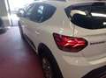 Dacia Sandero Sandero Stepway III 2021 1.0 tce Expression 90cv Weiß - thumbnail 5