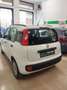 Fiat Panda Bianco - thumbnail 3