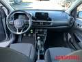 Kia Picanto PE 1.2 MT VISION Navi  Klima SHZ Gewerbe LenkradHZ Grau - thumbnail 13