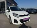 Kia Rio 1,2 MPI Österreich Edition Weiß - thumbnail 1