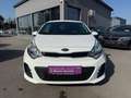 Kia Rio 1,2 MPI Österreich Edition Weiß - thumbnail 2