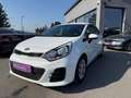 Kia Rio 1,2 MPI Österreich Edition Weiß - thumbnail 3