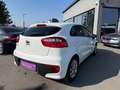 Kia Rio 1,2 MPI Österreich Edition Weiß - thumbnail 4