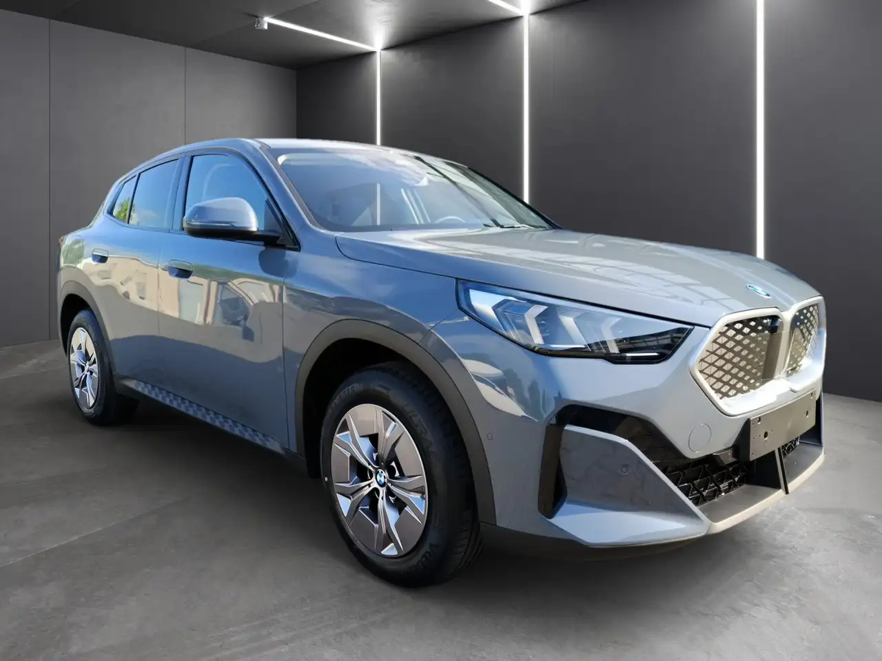 BMW iX2 eDrive20 DRIVING+PARKING-ASS.+SITZHEIZUNG+SONNENSC, миниатюра 2