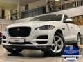 Jaguar F-Pace 20d Pure Navi Sthz elektr.Heckklappe AHK Weiß - thumbnail 1