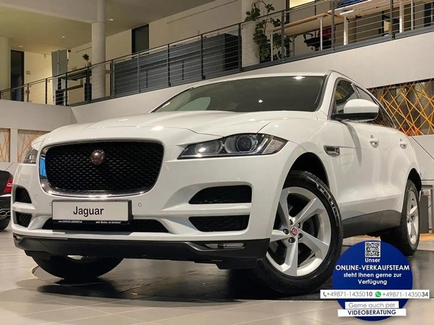Jaguar F-Pace 20d Pure Navi Sthz elektr.Heckklappe AHK Weiß - 1
