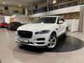 Jaguar F-Pace 20d Pure Navi Sthz elektr.Heckklappe AHK Weiß - thumbnail 30