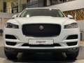 Jaguar F-Pace 20d Pure Navi Sthz elektr.Heckklappe AHK Weiß - thumbnail 5