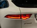 Jaguar F-Pace 20d Pure Navi Sthz elektr.Heckklappe AHK Weiß - thumbnail 27