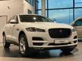 Jaguar F-Pace 20d Pure Navi Sthz elektr.Heckklappe AHK Weiß - thumbnail 3