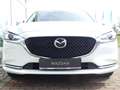 Mazda 6 2023 Kombi SKYACTIV-G 165 CENTER-LINE Blanco - thumbnail 7