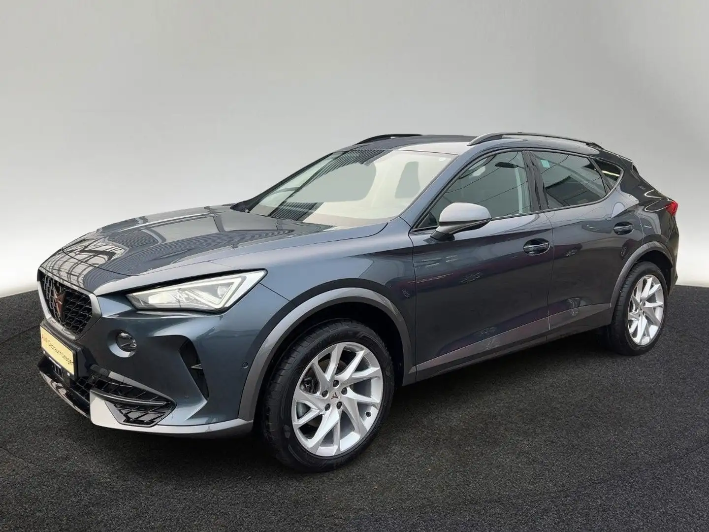 CUPRA Formentor 1.5 TSI DSG Kamera Navi Sitzhzg Grau - 2