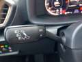 CUPRA Formentor 1.5 TSI DSG Kamera Navi Sitzhzg Grau - thumbnail 14