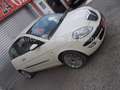 Lancia Ypsilon 1.2 16V Oro Weiß - thumbnail 4
