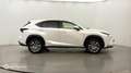 Lexus NX 300h 300h 4WD Luxe - thumbnail 4