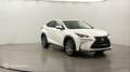 Lexus NX 300h 300h 4WD Luxe - thumbnail 3