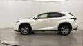 Lexus NX 300h 300h 4WD Luxe - thumbnail 7