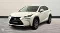 Lexus NX 300h 300h 4WD Luxe - thumbnail 1