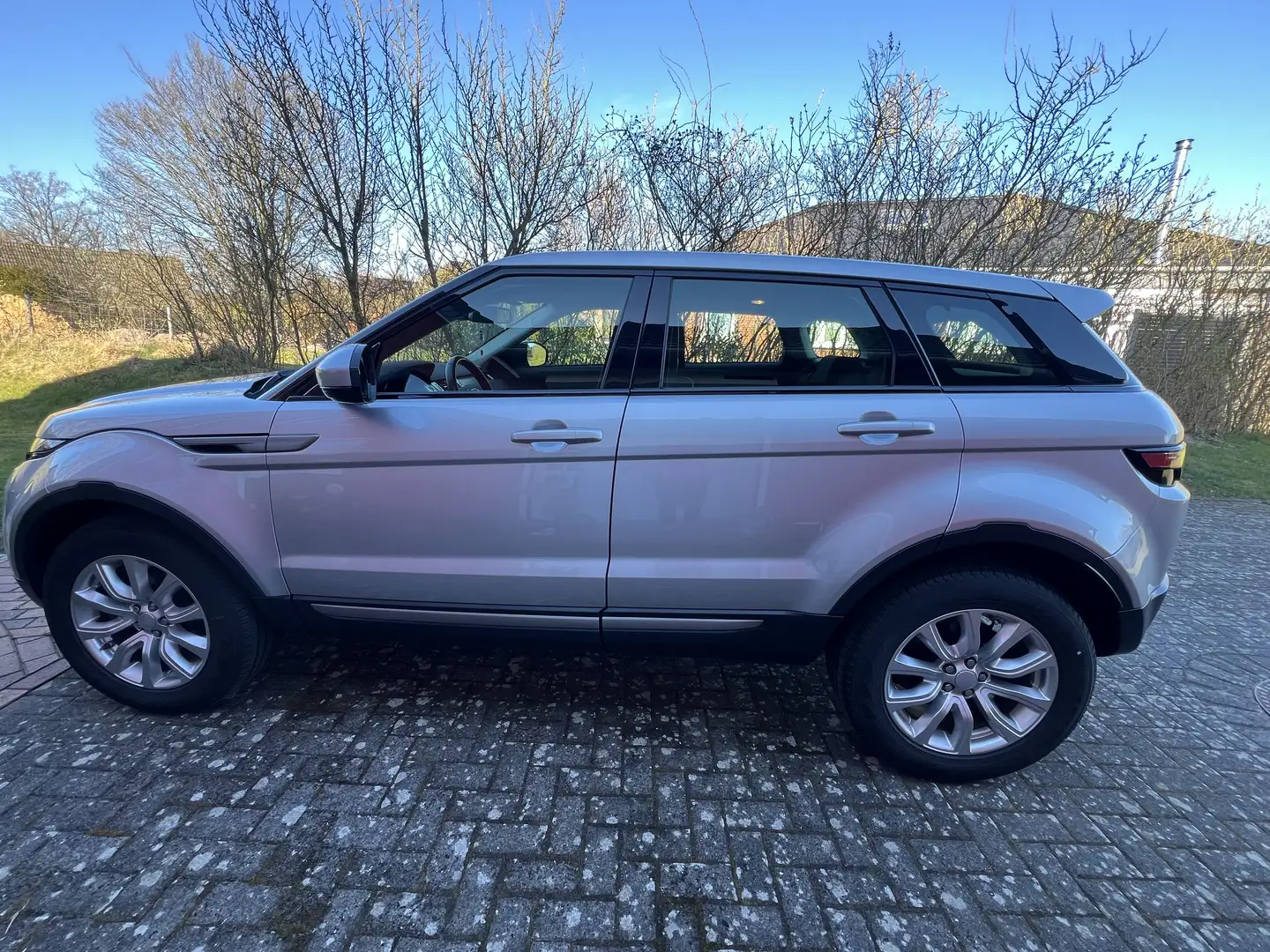 Land Rover Range Rover Evoque Pure Grau - 2