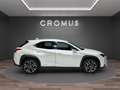 Lexus UX 200 250h 2.0 Luxury 2wd cvt - thumbnail 1