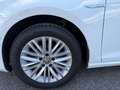 Volkswagen Golf 1.2 TSI 85CV 5p. Business BMT NEOPATENTATI Bianco - thumbnail 6