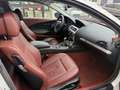 BMW 630 630i Coupé Blanco - thumbnail 18