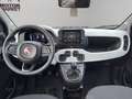 Fiat Panda Pandina Cross 1.0 Firefly Hybrid S&S 70cv Pandina Blau - thumbnail 13