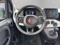 Fiat Panda Pandina Cross 1.0 Firefly Hybrid S&S 70cv Pandina Blau - thumbnail 16