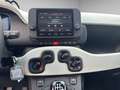 Fiat Panda Pandina Cross 1.0 Firefly Hybrid S&S 70cv Pandina Blau - thumbnail 12