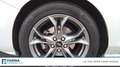 Ford Focus 1.5 ecoblue ST-Line s&s 120cv Silver - thumbnail 14