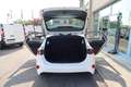 Kia Ceed / cee'd 1.6 CRDi 115 CV DCT 5p. Business Class Blanc - thumbnail 12