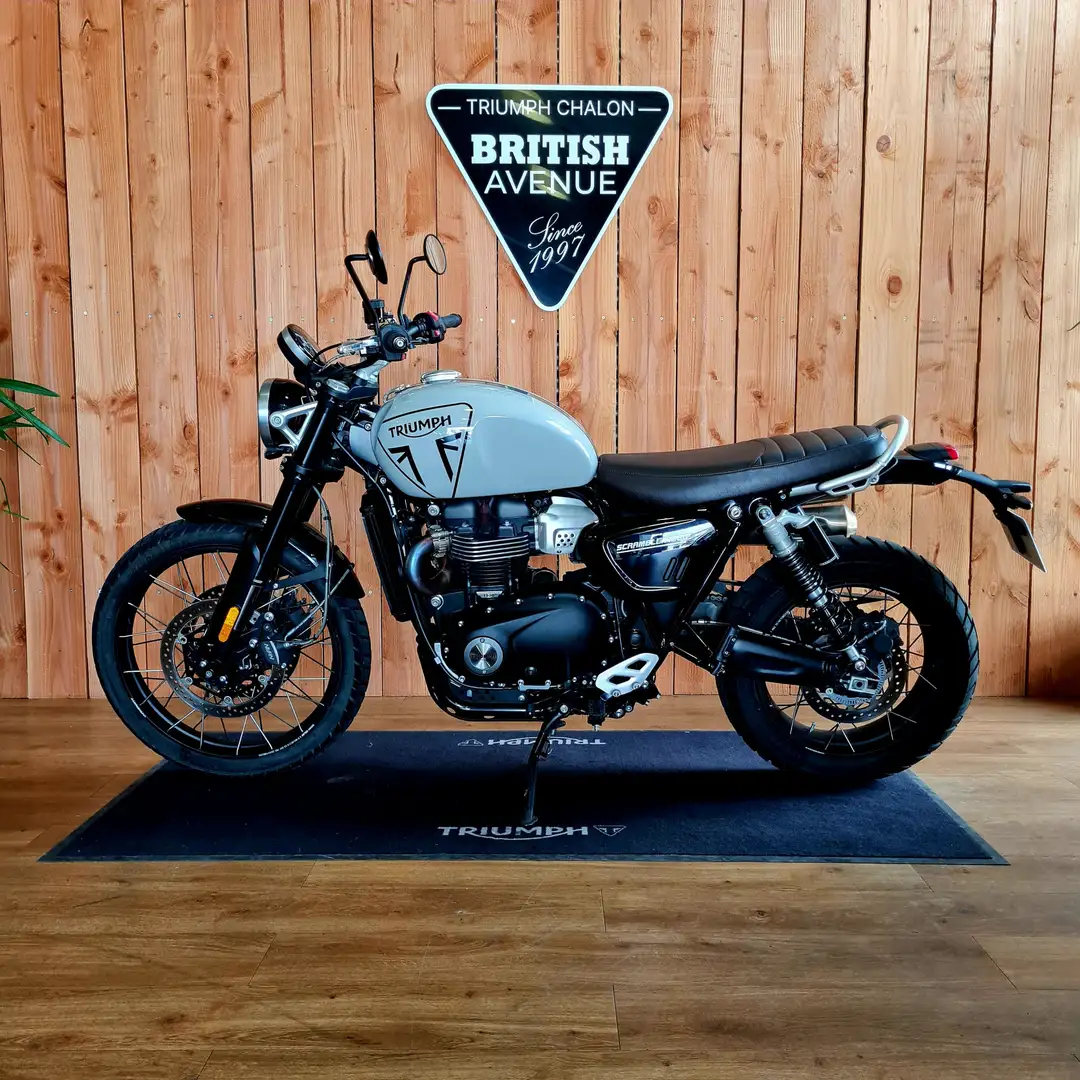 Triumph Scrambler - 2