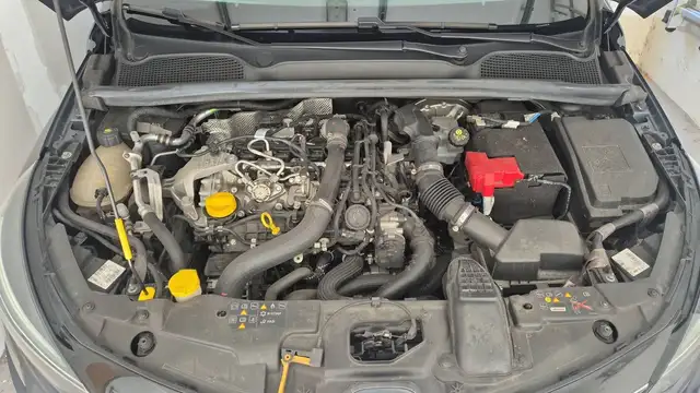 Renault Clio view 15