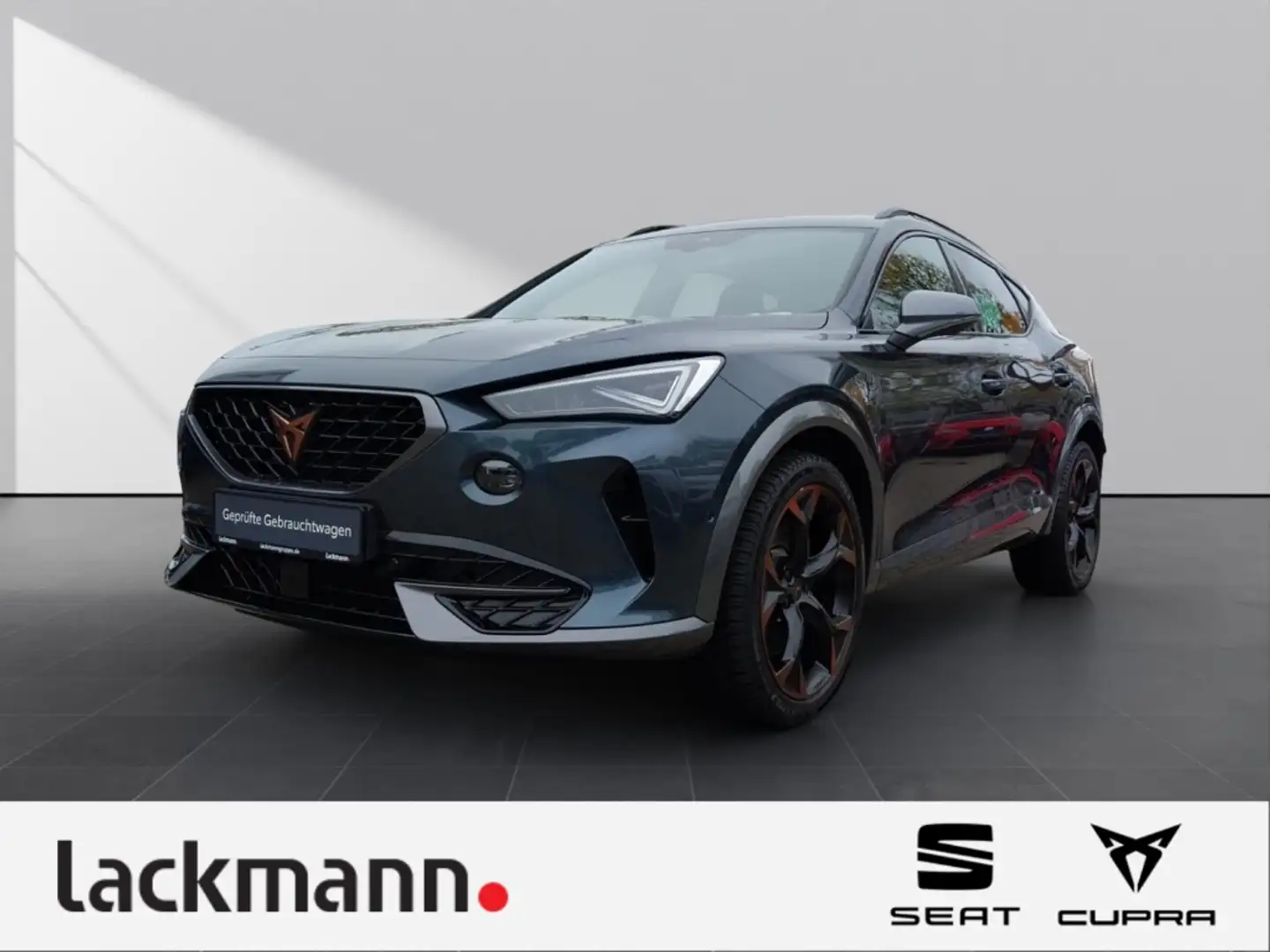 CUPRA Formentor VZ 4Drive 2.0 *Navi*Matrix LED*Leder* Grau - 1