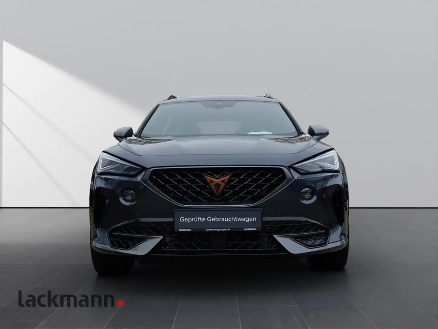 CUPRA Formentor VZ 4Drive 2.0 *Navi*Matrix LED*Leder* Grau - 2