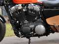 Harley-Davidson Sportster XL1200X Forty Eight 48| PENZL| 2. Hand Oranžová - thumbnail 13