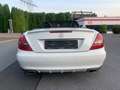 Mercedes-Benz SLK 280 SLK Roadster *AMG Line*Xenon*Leder*Klima Weiß - thumbnail 6
