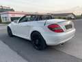 Mercedes-Benz SLK 280 SLK Roadster *AMG Line*Xenon*Leder*Klima Weiß - thumbnail 7