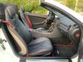Mercedes-Benz SLK 280 SLK Roadster *AMG Line*Xenon*Leder*Klima Weiß - thumbnail 9