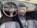 Mercedes-Benz SLK 280 SLK Roadster *AMG Line*Xenon*Leder*Klima Weiß - thumbnail 13