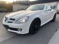 Mercedes-Benz SLK 280 SLK Roadster *AMG Line*Xenon*Leder*Klima Weiß - thumbnail 20