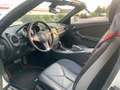 Mercedes-Benz SLK 280 SLK Roadster *AMG Line*Xenon*Leder*Klima Weiß - thumbnail 12
