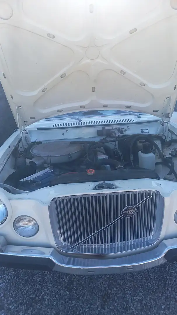 Volvo Sonstige 164 e Weiß - 2