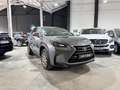 Lexus NX 300 300h Eco 2WD Grau - thumbnail 1