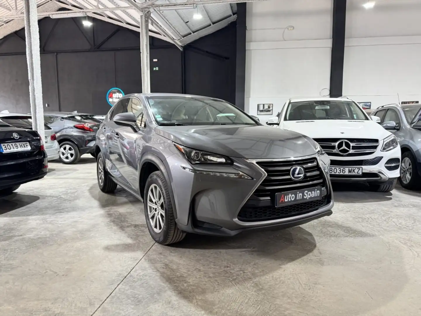 Lexus NX 300 300h Eco 2WD Grau - 1