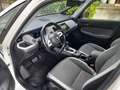 Honda Jazz Crosstar 1.5 hev Executive ecvt - thumbnail 12